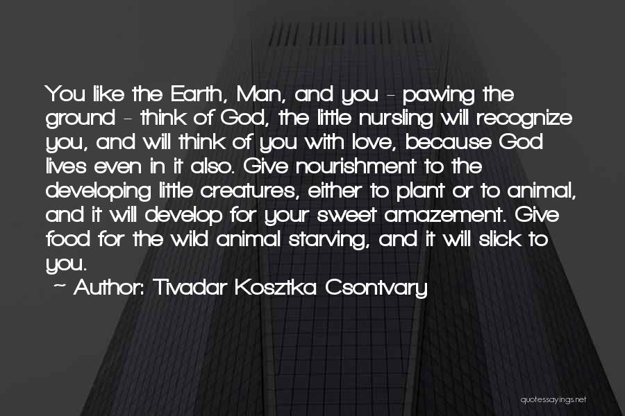 Tivadar Kosztka Csontvary Quotes: You Like The Earth, Man, And You - Pawing The Ground - Think Of God, The Little Nursling Will Recognize