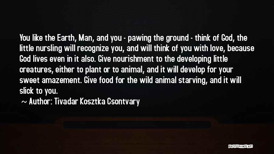 Tivadar Kosztka Csontvary Quotes: You Like The Earth, Man, And You - Pawing The Ground - Think Of God, The Little Nursling Will Recognize