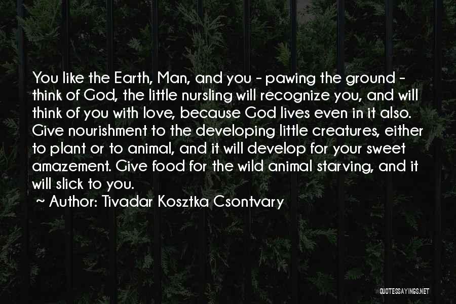 Tivadar Kosztka Csontvary Quotes: You Like The Earth, Man, And You - Pawing The Ground - Think Of God, The Little Nursling Will Recognize