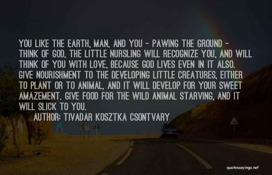 Tivadar Kosztka Csontvary Quotes: You Like The Earth, Man, And You - Pawing The Ground - Think Of God, The Little Nursling Will Recognize