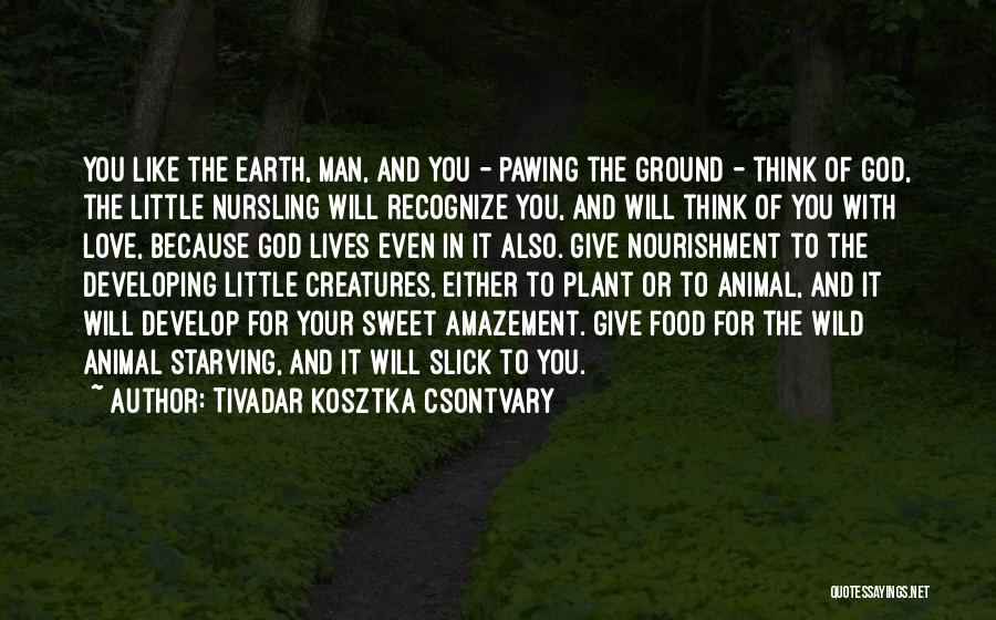 Tivadar Kosztka Csontvary Quotes: You Like The Earth, Man, And You - Pawing The Ground - Think Of God, The Little Nursling Will Recognize