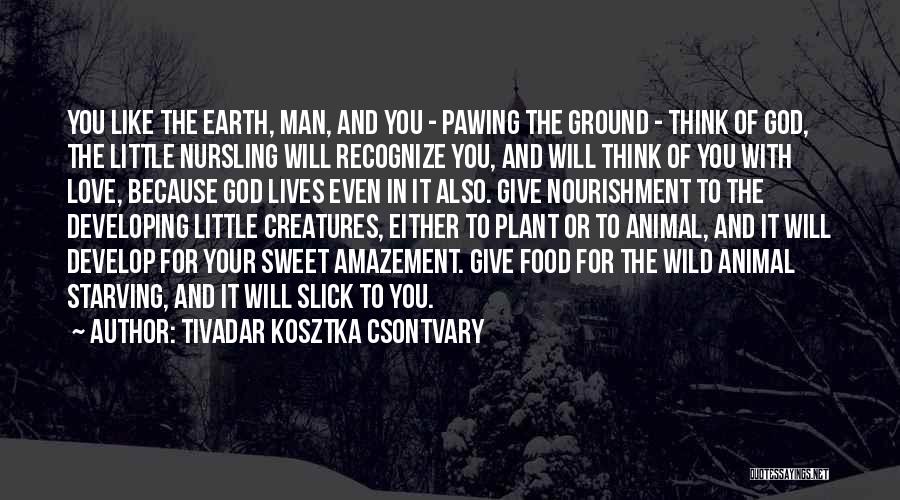 Tivadar Kosztka Csontvary Quotes: You Like The Earth, Man, And You - Pawing The Ground - Think Of God, The Little Nursling Will Recognize