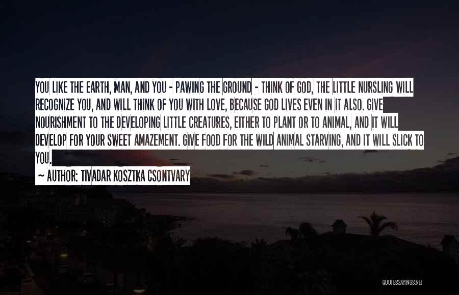 Tivadar Kosztka Csontvary Quotes: You Like The Earth, Man, And You - Pawing The Ground - Think Of God, The Little Nursling Will Recognize