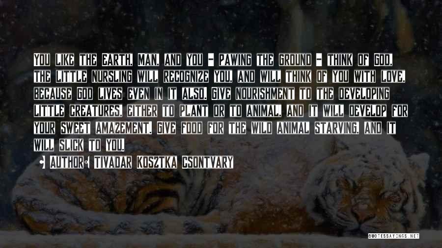 Tivadar Kosztka Csontvary Quotes: You Like The Earth, Man, And You - Pawing The Ground - Think Of God, The Little Nursling Will Recognize