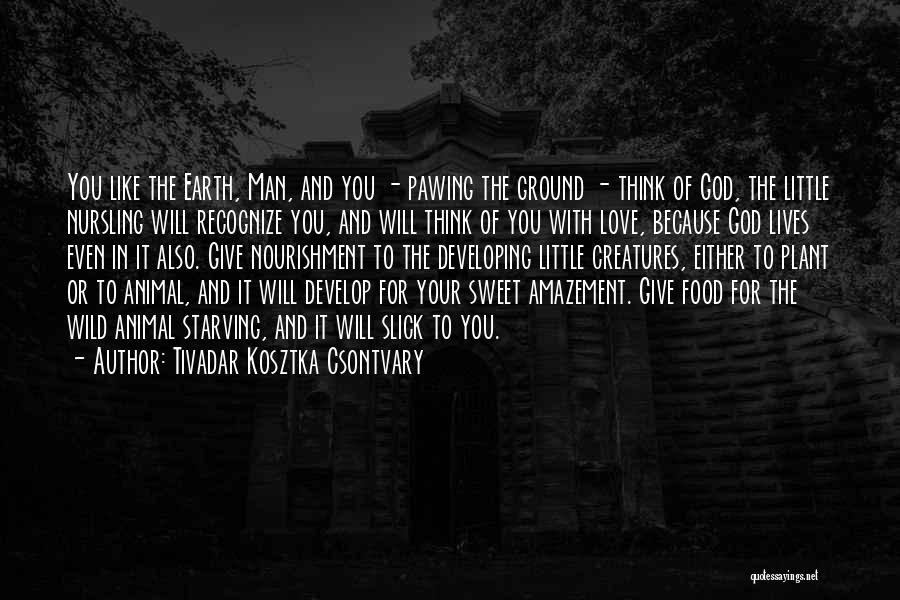 Tivadar Kosztka Csontvary Quotes: You Like The Earth, Man, And You - Pawing The Ground - Think Of God, The Little Nursling Will Recognize