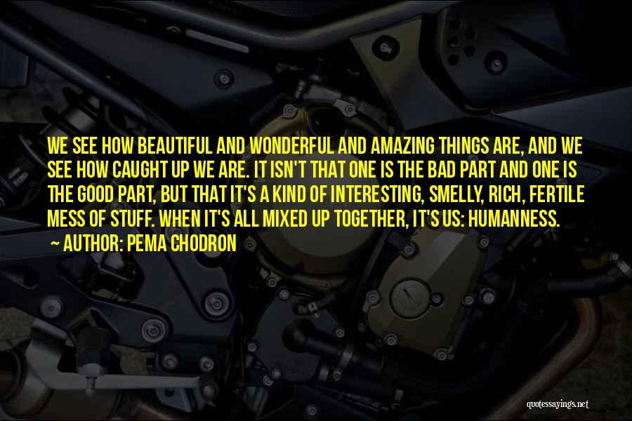 Pema Chodron Quotes: We See How Beautiful And Wonderful And Amazing Things Are, And We See How Caught Up We Are. It Isn't