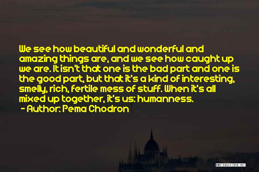 Pema Chodron Quotes: We See How Beautiful And Wonderful And Amazing Things Are, And We See How Caught Up We Are. It Isn't
