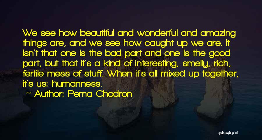 Pema Chodron Quotes: We See How Beautiful And Wonderful And Amazing Things Are, And We See How Caught Up We Are. It Isn't