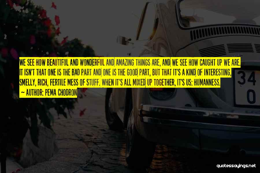 Pema Chodron Quotes: We See How Beautiful And Wonderful And Amazing Things Are, And We See How Caught Up We Are. It Isn't