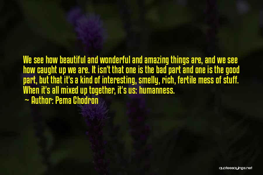 Pema Chodron Quotes: We See How Beautiful And Wonderful And Amazing Things Are, And We See How Caught Up We Are. It Isn't