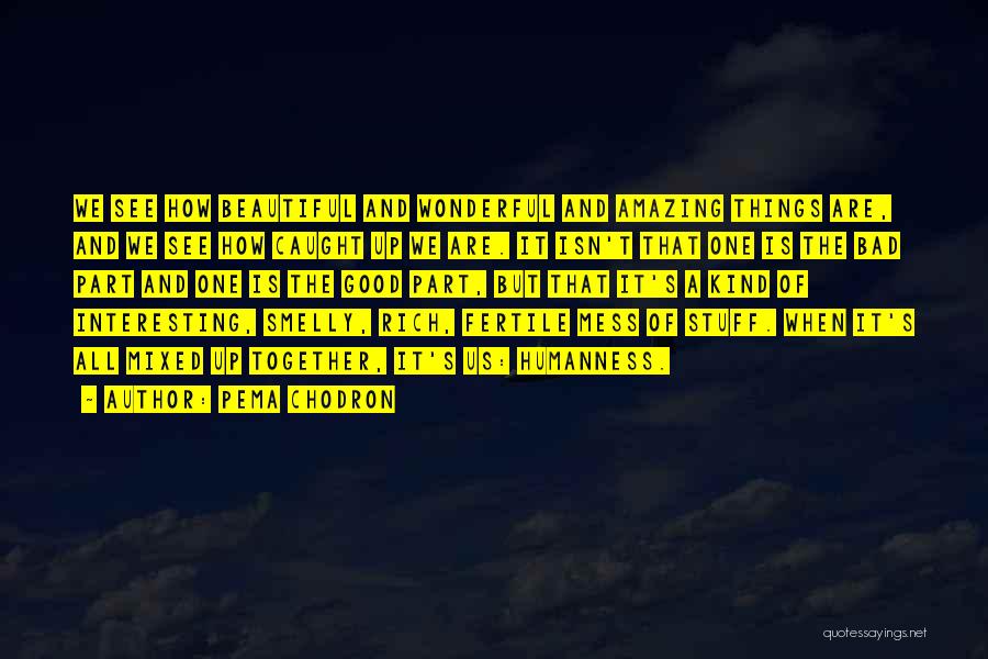 Pema Chodron Quotes: We See How Beautiful And Wonderful And Amazing Things Are, And We See How Caught Up We Are. It Isn't