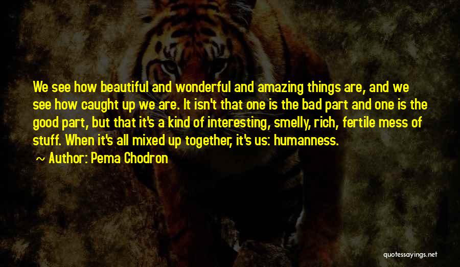 Pema Chodron Quotes: We See How Beautiful And Wonderful And Amazing Things Are, And We See How Caught Up We Are. It Isn't