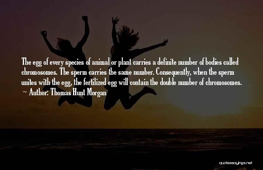 Thomas Hunt Morgan Quotes: The Egg Of Every Species Of Animal Or Plant Carries A Definite Number Of Bodies Called Chromosomes. The Sperm Carries