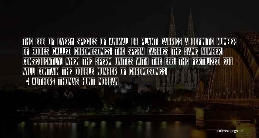 Thomas Hunt Morgan Quotes: The Egg Of Every Species Of Animal Or Plant Carries A Definite Number Of Bodies Called Chromosomes. The Sperm Carries