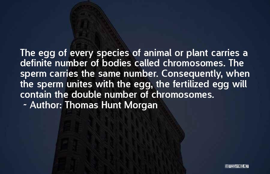 Thomas Hunt Morgan Quotes: The Egg Of Every Species Of Animal Or Plant Carries A Definite Number Of Bodies Called Chromosomes. The Sperm Carries