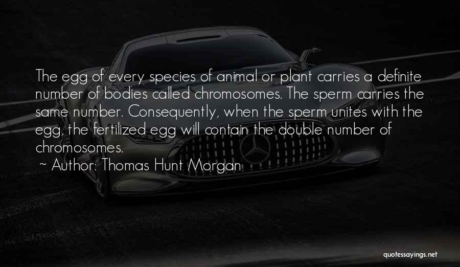 Thomas Hunt Morgan Quotes: The Egg Of Every Species Of Animal Or Plant Carries A Definite Number Of Bodies Called Chromosomes. The Sperm Carries