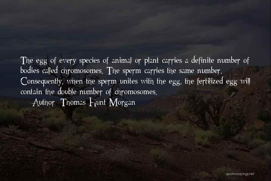 Thomas Hunt Morgan Quotes: The Egg Of Every Species Of Animal Or Plant Carries A Definite Number Of Bodies Called Chromosomes. The Sperm Carries