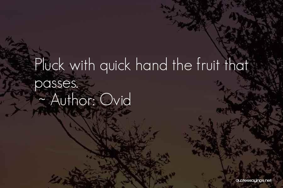 Ovid Quotes: Pluck With Quick Hand The Fruit That Passes.
