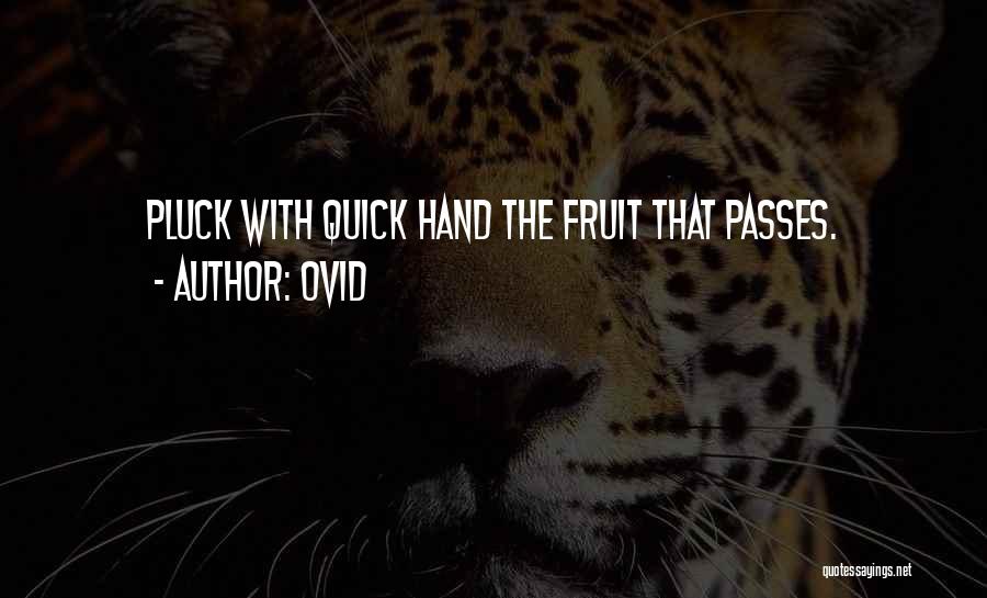 Ovid Quotes: Pluck With Quick Hand The Fruit That Passes.