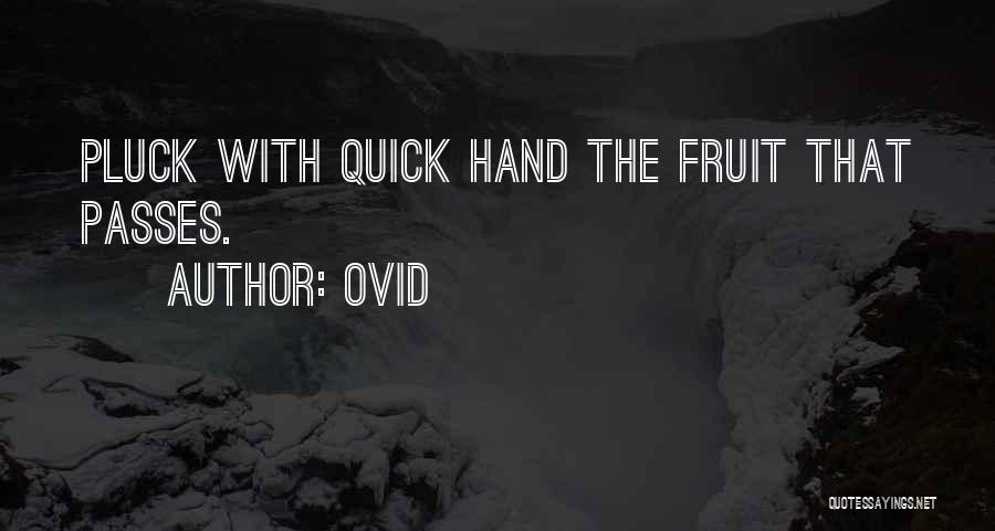 Ovid Quotes: Pluck With Quick Hand The Fruit That Passes.