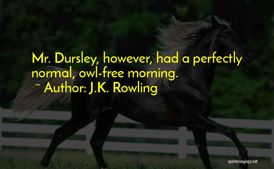 J.K. Rowling Quotes: Mr. Dursley, However, Had A Perfectly Normal, Owl-free Morning.