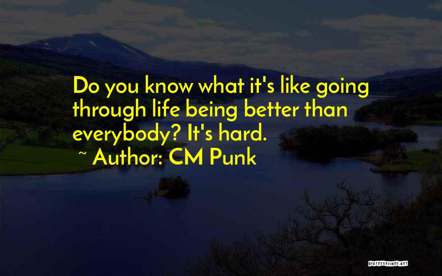 CM Punk Quotes: Do You Know What It's Like Going Through Life Being Better Than Everybody? It's Hard.