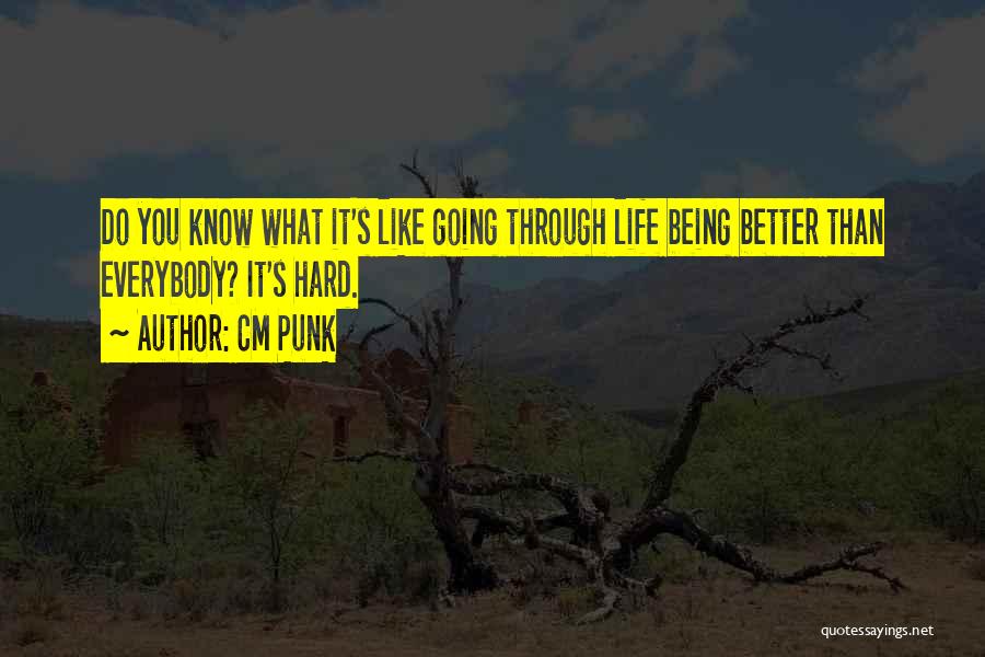 CM Punk Quotes: Do You Know What It's Like Going Through Life Being Better Than Everybody? It's Hard.
