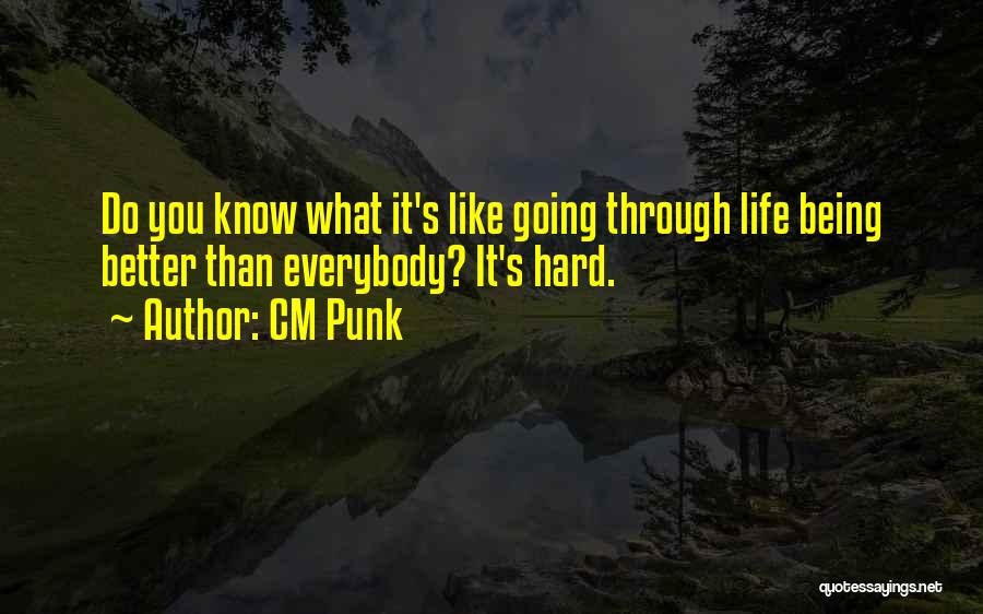 CM Punk Quotes: Do You Know What It's Like Going Through Life Being Better Than Everybody? It's Hard.