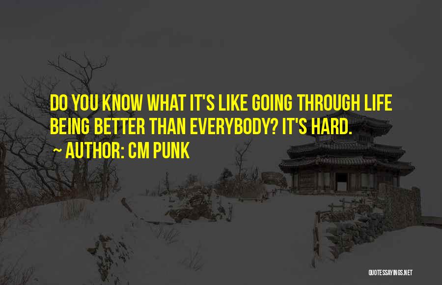 CM Punk Quotes: Do You Know What It's Like Going Through Life Being Better Than Everybody? It's Hard.