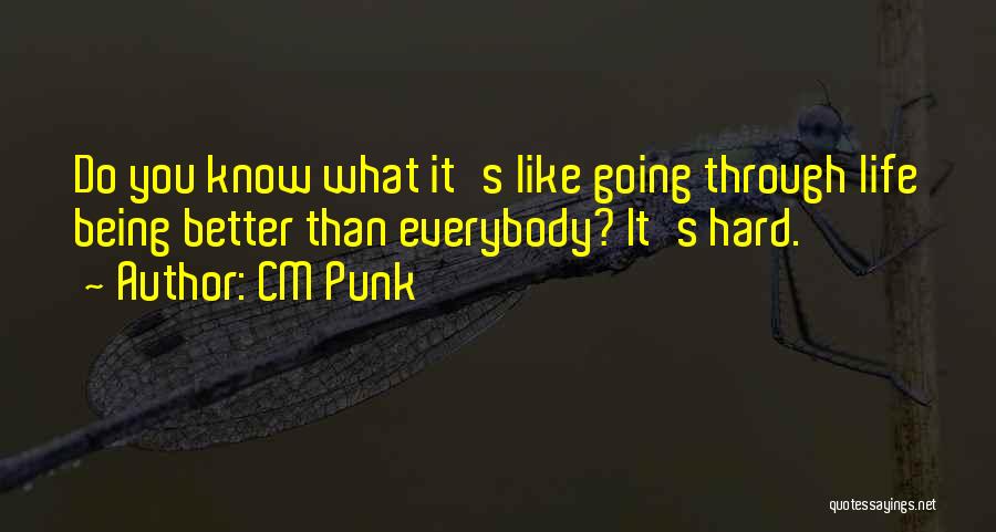 CM Punk Quotes: Do You Know What It's Like Going Through Life Being Better Than Everybody? It's Hard.