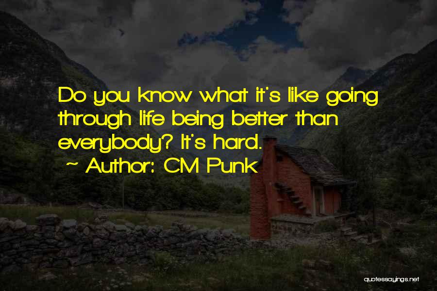 CM Punk Quotes: Do You Know What It's Like Going Through Life Being Better Than Everybody? It's Hard.