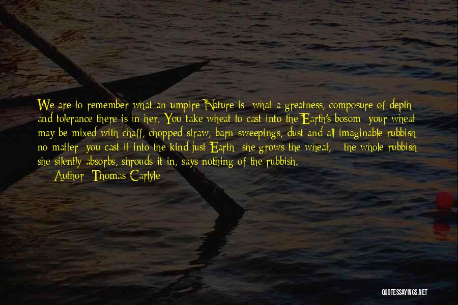 Thomas Carlyle Quotes: We Are To Remember What An Umpire Nature Is; What A Greatness, Composure Of Depth And Tolerance There Is In