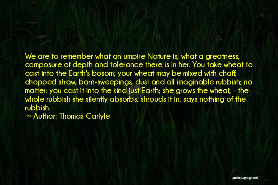 Thomas Carlyle Quotes: We Are To Remember What An Umpire Nature Is; What A Greatness, Composure Of Depth And Tolerance There Is In