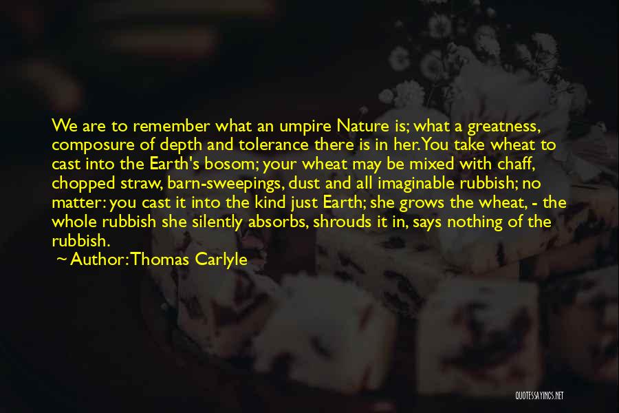 Thomas Carlyle Quotes: We Are To Remember What An Umpire Nature Is; What A Greatness, Composure Of Depth And Tolerance There Is In