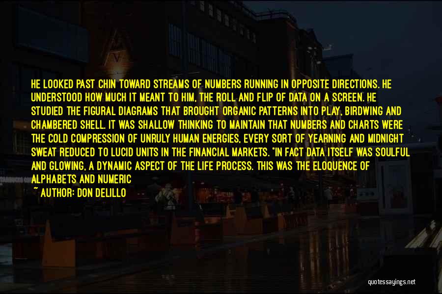 Don DeLillo Quotes: He Looked Past Chin Toward Streams Of Numbers Running In Opposite Directions. He Understood How Much It Meant To Him,