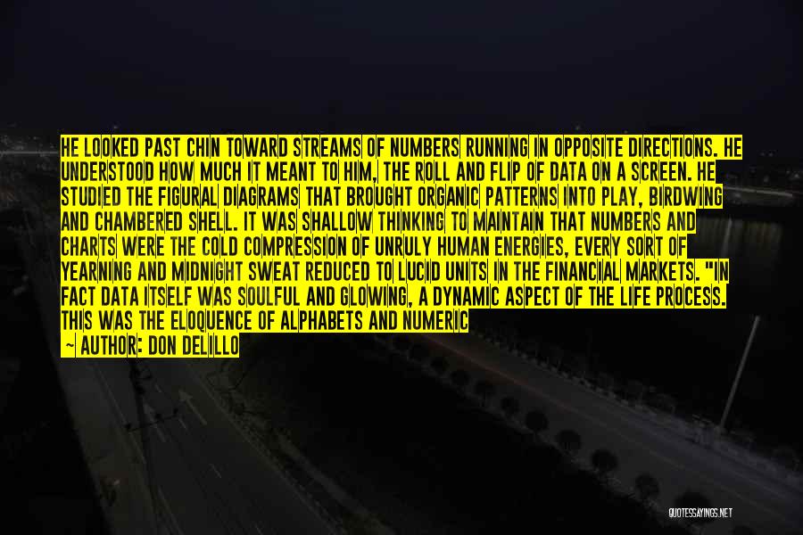 Don DeLillo Quotes: He Looked Past Chin Toward Streams Of Numbers Running In Opposite Directions. He Understood How Much It Meant To Him,