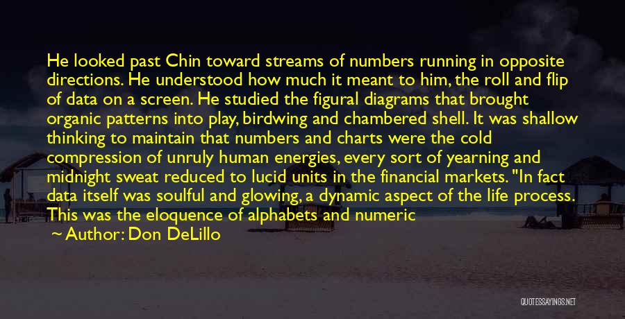 Don DeLillo Quotes: He Looked Past Chin Toward Streams Of Numbers Running In Opposite Directions. He Understood How Much It Meant To Him,