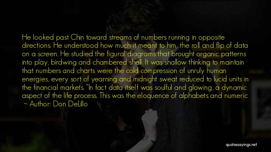 Don DeLillo Quotes: He Looked Past Chin Toward Streams Of Numbers Running In Opposite Directions. He Understood How Much It Meant To Him,
