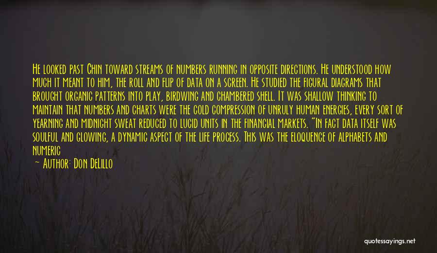 Don DeLillo Quotes: He Looked Past Chin Toward Streams Of Numbers Running In Opposite Directions. He Understood How Much It Meant To Him,