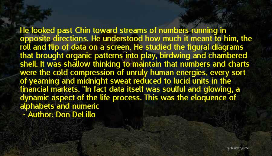 Don DeLillo Quotes: He Looked Past Chin Toward Streams Of Numbers Running In Opposite Directions. He Understood How Much It Meant To Him,