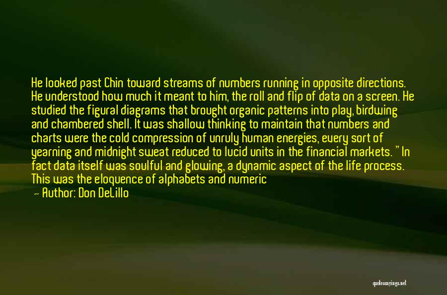 Don DeLillo Quotes: He Looked Past Chin Toward Streams Of Numbers Running In Opposite Directions. He Understood How Much It Meant To Him,