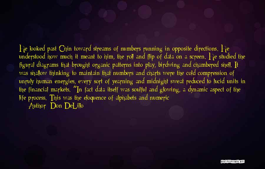 Don DeLillo Quotes: He Looked Past Chin Toward Streams Of Numbers Running In Opposite Directions. He Understood How Much It Meant To Him,