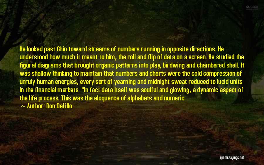 Don DeLillo Quotes: He Looked Past Chin Toward Streams Of Numbers Running In Opposite Directions. He Understood How Much It Meant To Him,