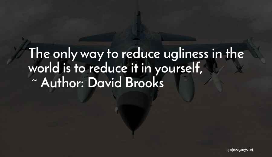 David Brooks Quotes: The Only Way To Reduce Ugliness In The World Is To Reduce It In Yourself,