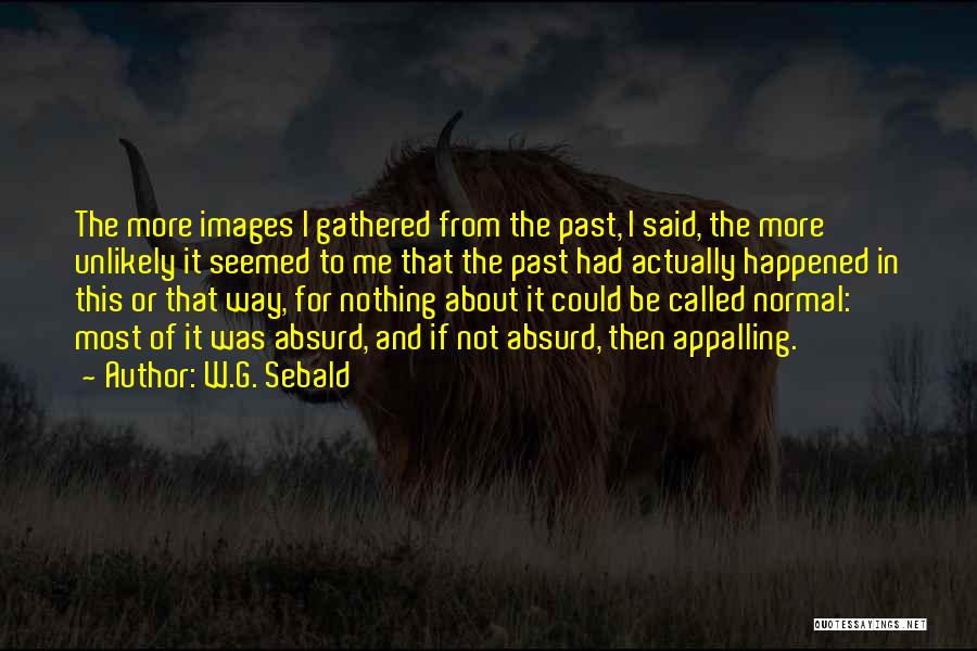 W.G. Sebald Quotes: The More Images I Gathered From The Past, I Said, The More Unlikely It Seemed To Me That The Past