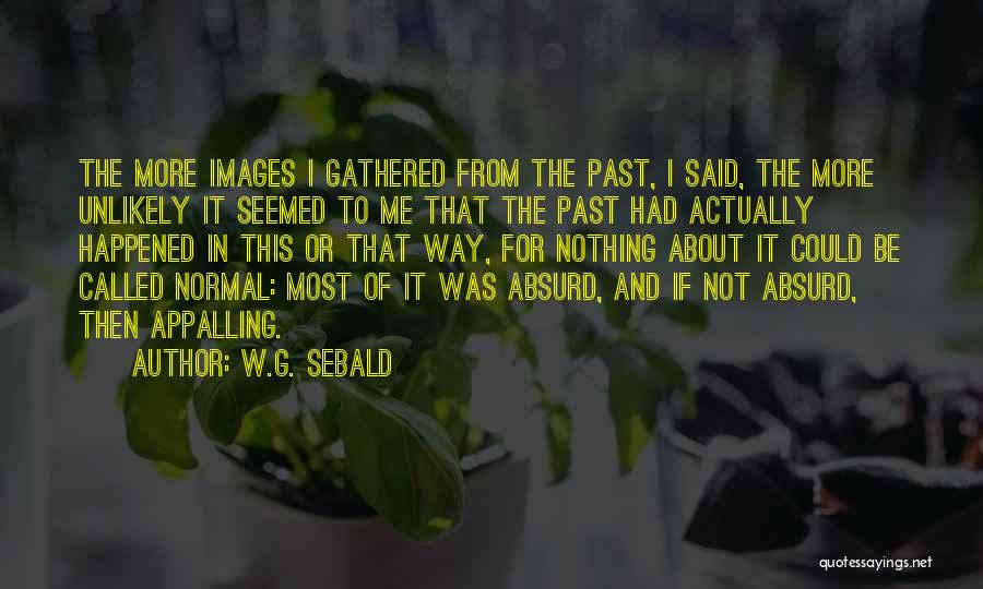 W.G. Sebald Quotes: The More Images I Gathered From The Past, I Said, The More Unlikely It Seemed To Me That The Past