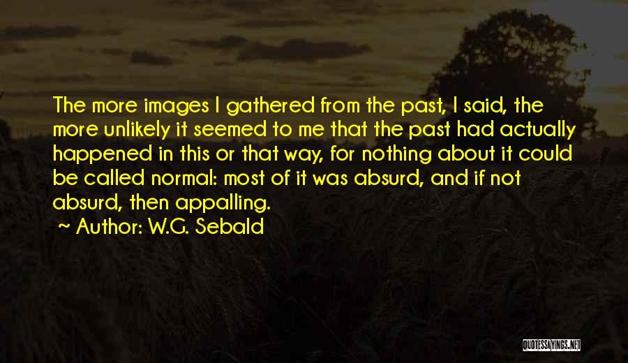 W.G. Sebald Quotes: The More Images I Gathered From The Past, I Said, The More Unlikely It Seemed To Me That The Past