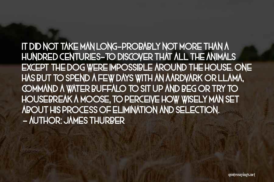 James Thurber Quotes: It Did Not Take Man Long-probably Not More Than A Hundred Centuries-to Discover That All The Animals Except The Dog