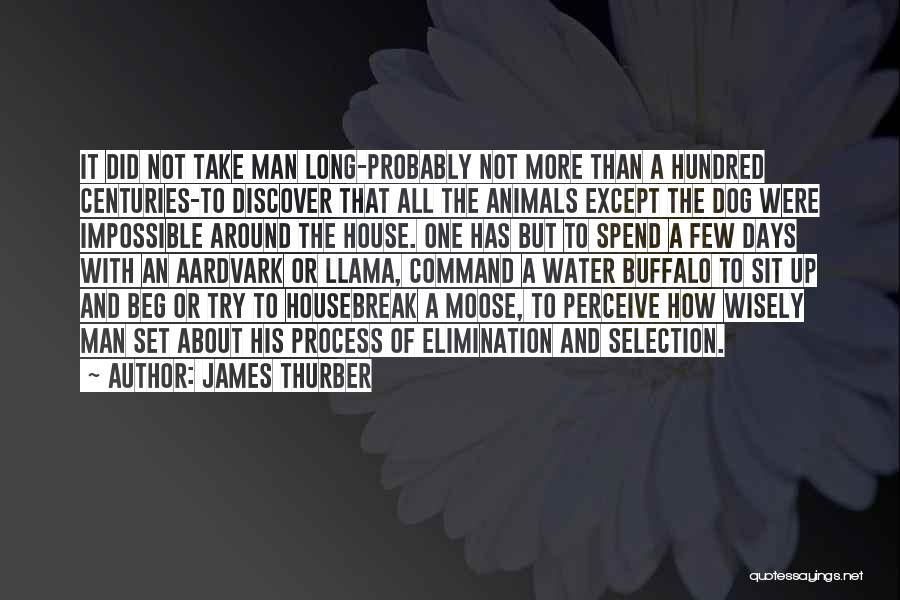 James Thurber Quotes: It Did Not Take Man Long-probably Not More Than A Hundred Centuries-to Discover That All The Animals Except The Dog