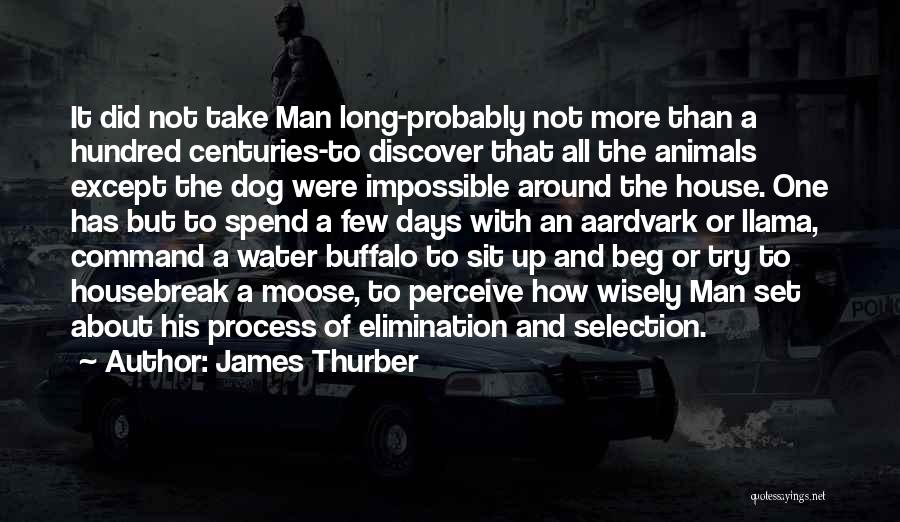 James Thurber Quotes: It Did Not Take Man Long-probably Not More Than A Hundred Centuries-to Discover That All The Animals Except The Dog